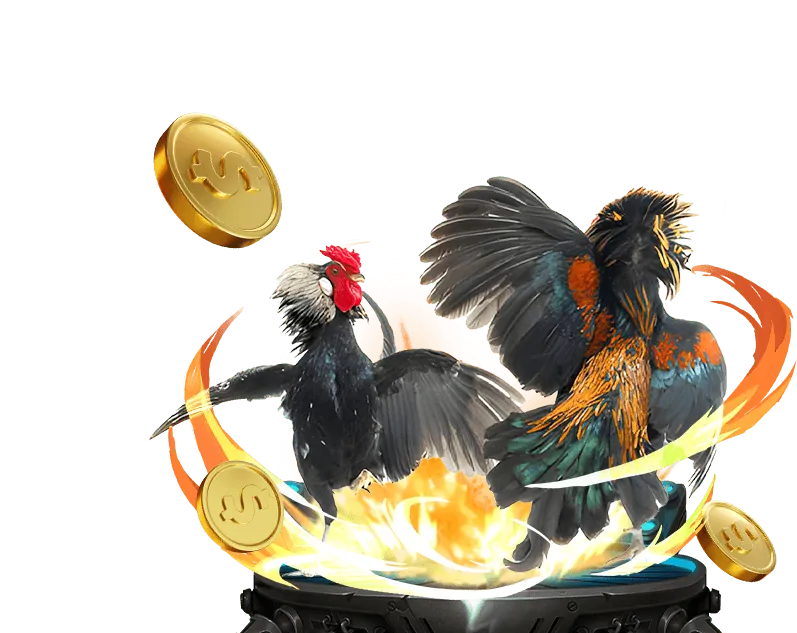 Xem Đá Gà Trực Tiếp