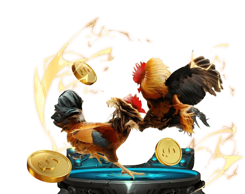 Hướng dẫn xem đá gà trực tiếp trên nhiều nền tảng